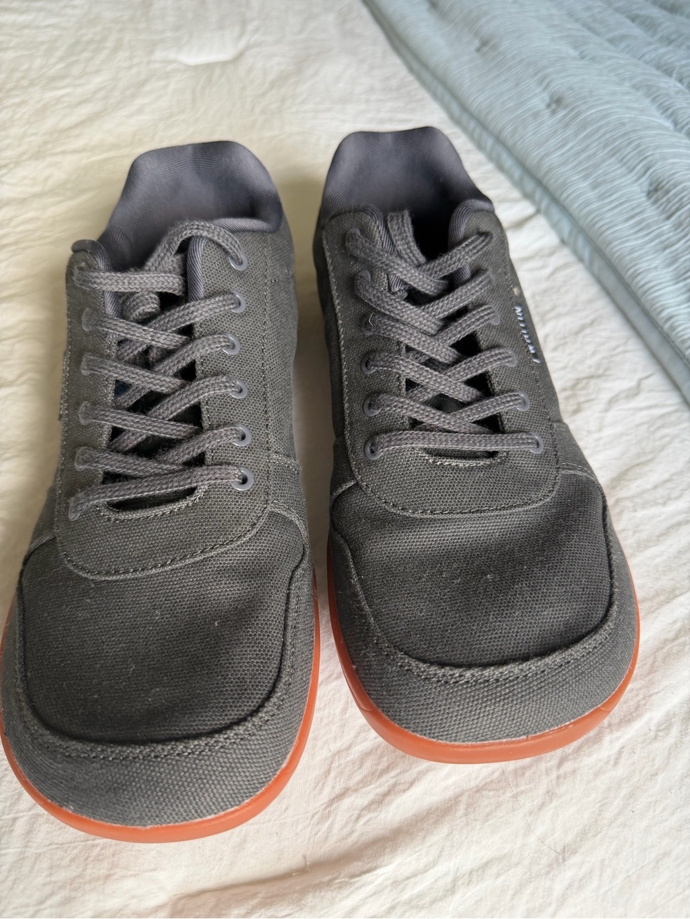 WHITIN Men's Charcoal Canvas Sneakers with Gum Outsole